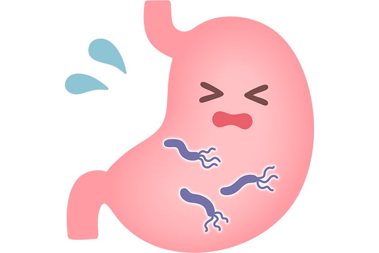 ピロリ菌のイメージ写真